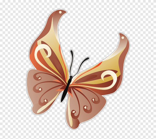 Векторные бабочки