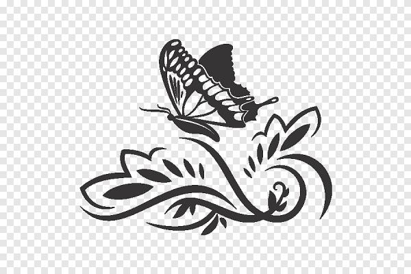 Эскиз тату бабочки на белом фоне