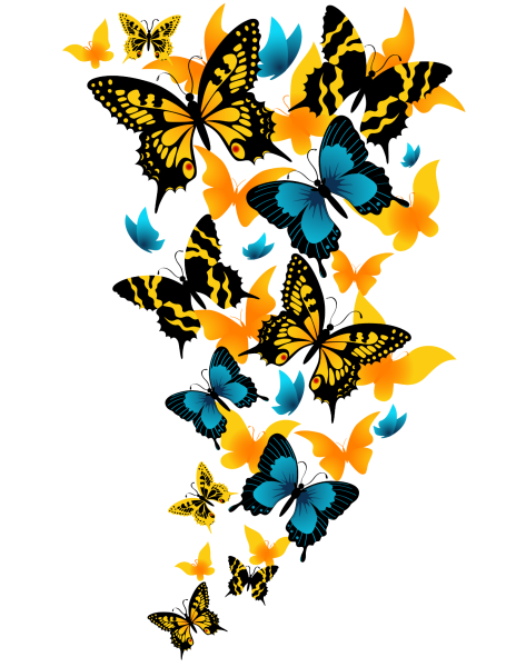 Векторные бабочки для детского сада