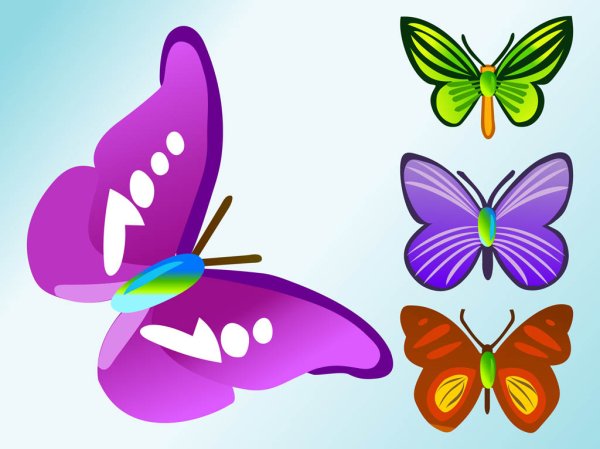 Бабочка трайбл вектор