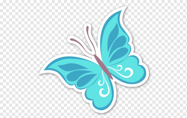 Трафарет бабочки на стену