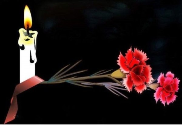 Светлая память гвоздики