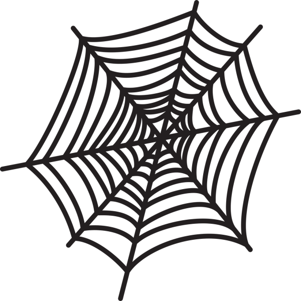 Паутина на белом фоне