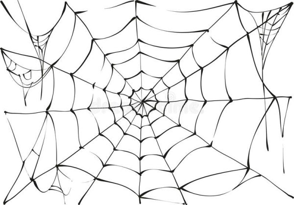 Черная паутина на белом фоне