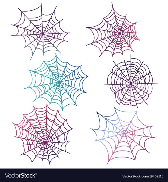 Паутина сетка