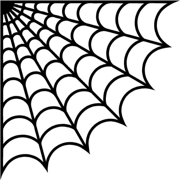 Паутина рисунок