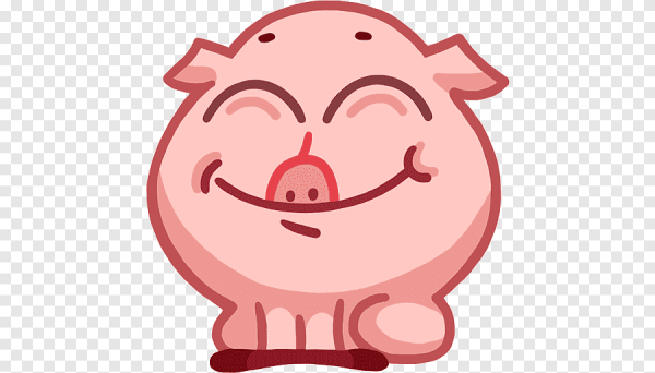 Картун Свинка