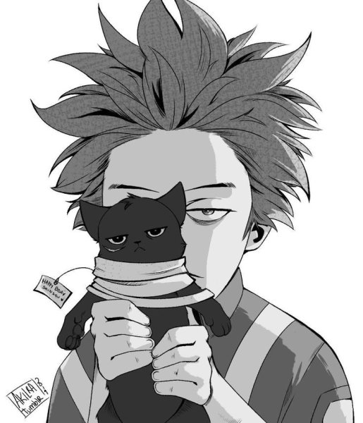 Аниме черно белое моя геройская Академия