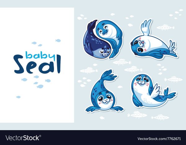 Нерпа вектор