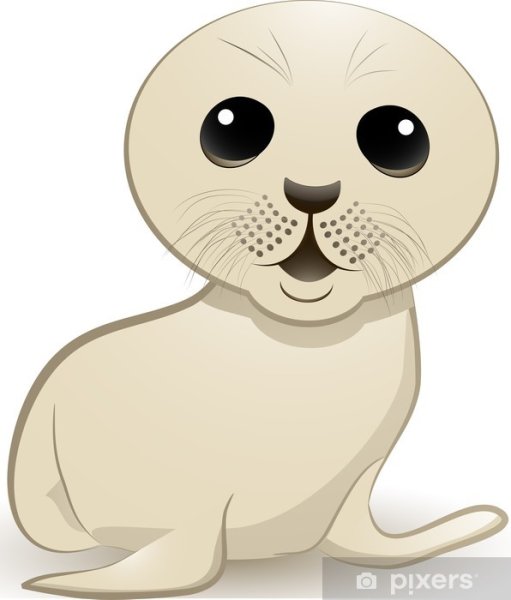 Милая Нерпа вектор