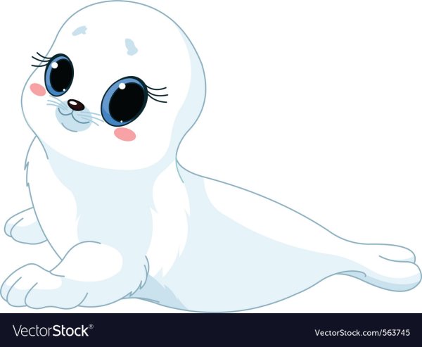 Байкальский нерпенок Белек рисунки