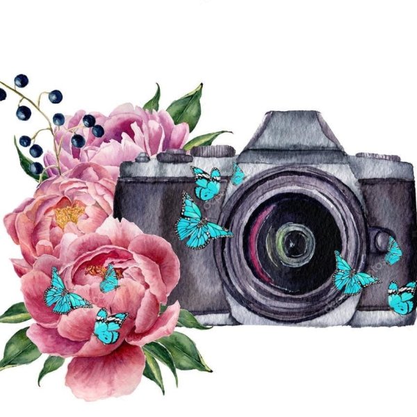 Фотоаппарат с акварельными цветами