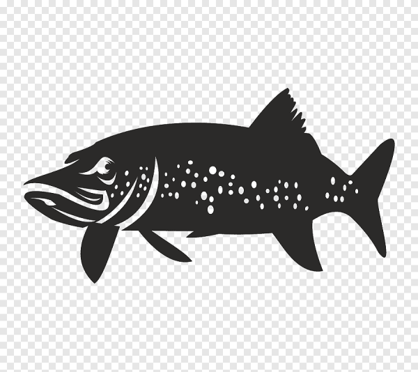 Наклейка рыба