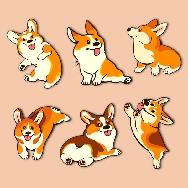 Корги мордочка сбоку