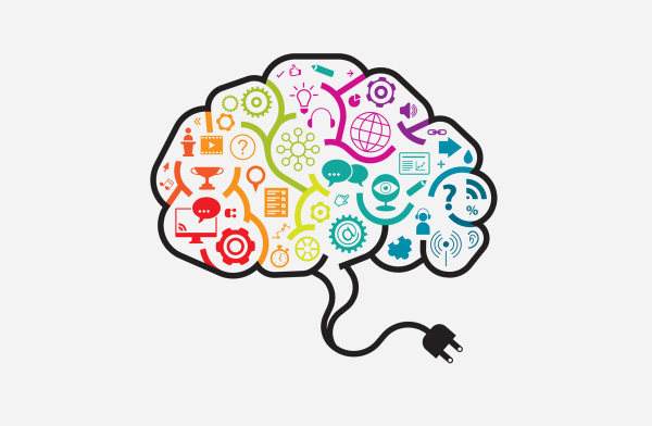 Мозг память внимание