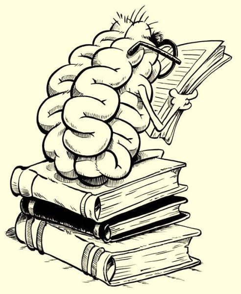 Стопка книг