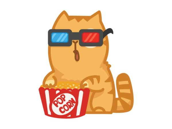 Кот персик в коробке