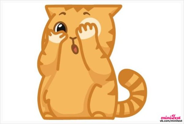 Кот персик грустный