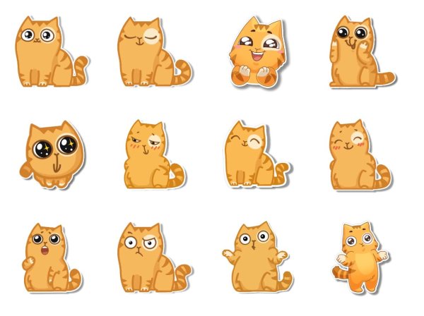 Котик персик