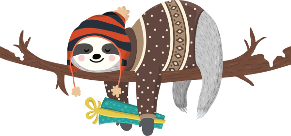 Ленивец медитирует