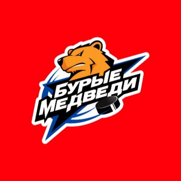 Молодёжка команда бурые медведи