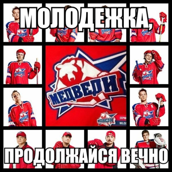 Команда медведи Егор Щукин