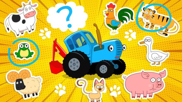 Синий трактор спереди на белом фоне