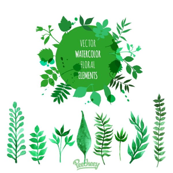 Наклейка зеленая эко