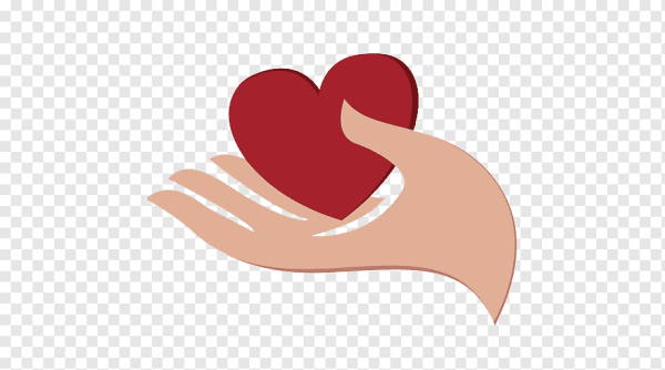 Сердце в руках на прозрачном фоне