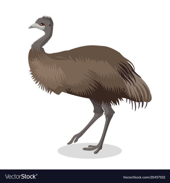 Секай Проджект руи Чиби