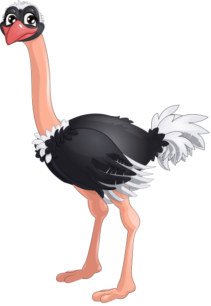 Руи и Цукаса