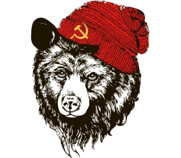 Питбуль Давидыча