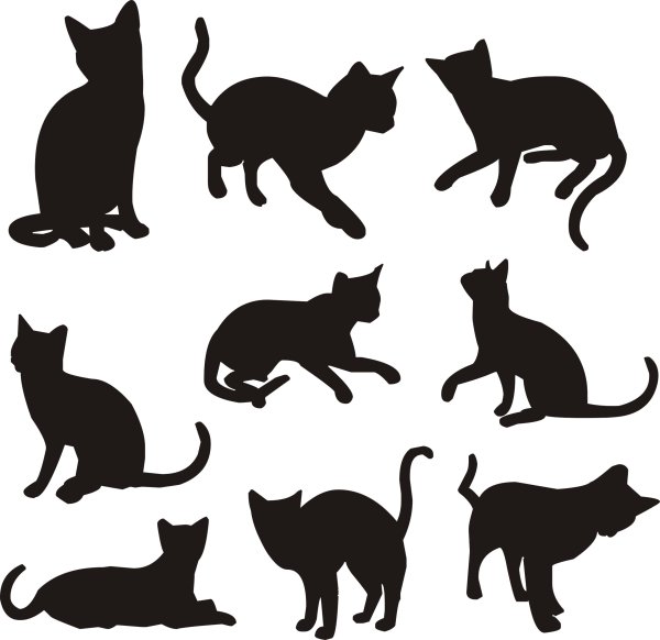 Силуэт маленкогокотенка