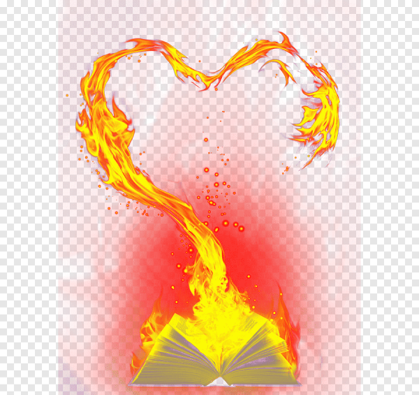 Огонь сердца книга