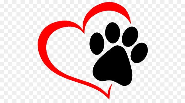 Холодными закусками и супом закусывают только