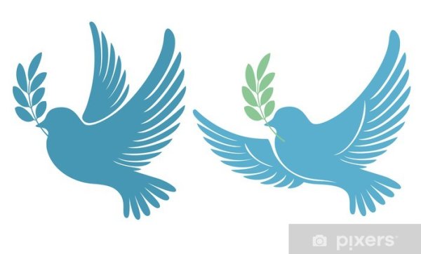 Голубь с оливой Графика