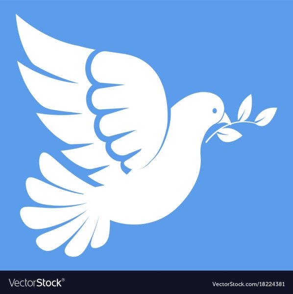 Почтовый голубь с веточкой