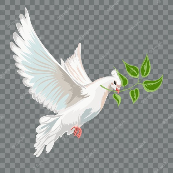 Голубь с веткой в клюве