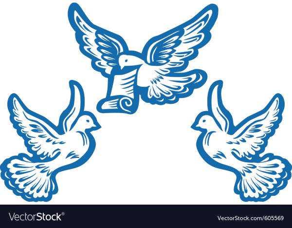 Голуби цветные для вырезания