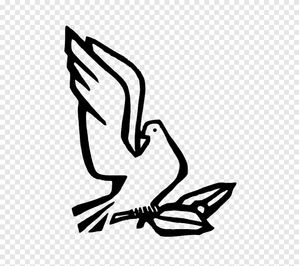 Голубь векторный рисунок