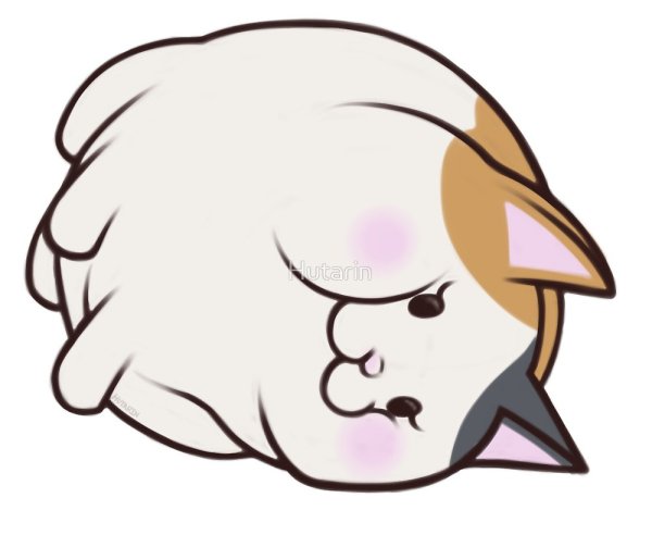 Котик для дискорда