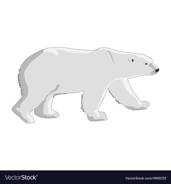 Белый медведь вектор