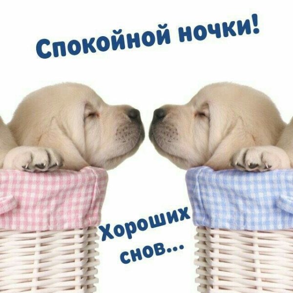 Открытки споки ноки