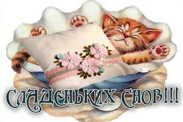 Спокойной ночи подушка