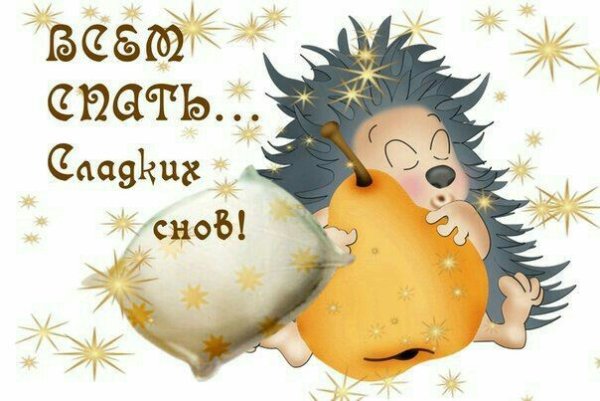 Доброй ночи Ежик