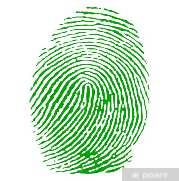 Отпечаток пальца зеленый