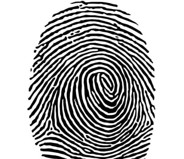 Отпечатки пальцев дактилоскопия