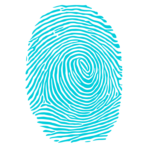 Отпечаток пальца