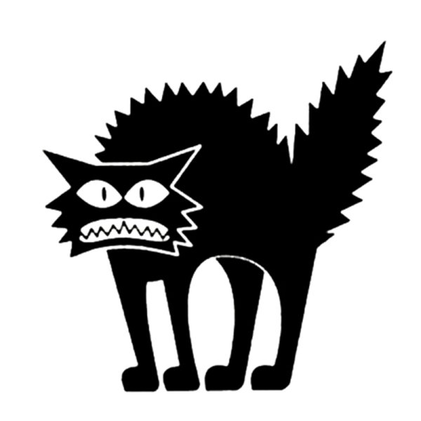 Испуганный кот