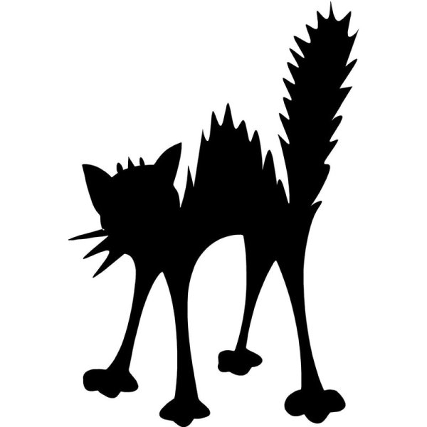 Силуэт испуганного кота